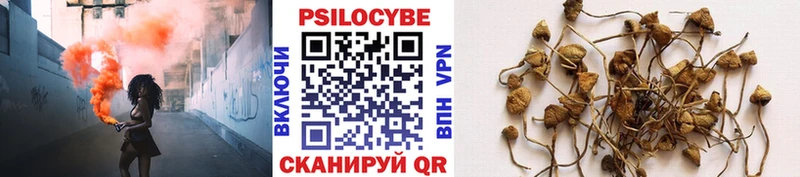 Псилоцибиновые грибы Psilocybine cubensis  даркнет какой сайт  Ядрин 